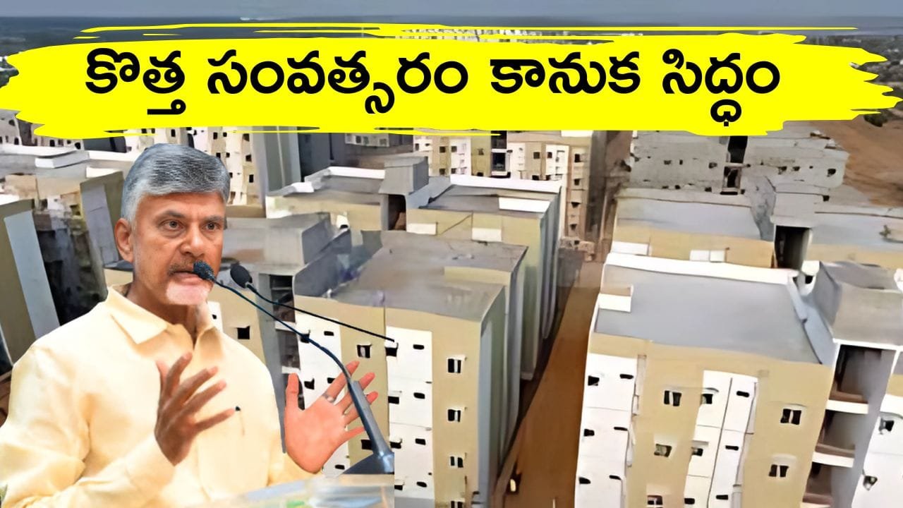 Ap Government New Year Gift