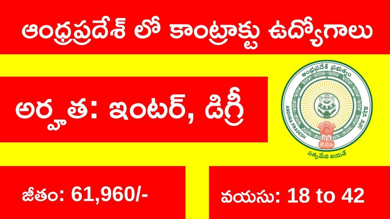 AP Contract Basis Jobs 2025