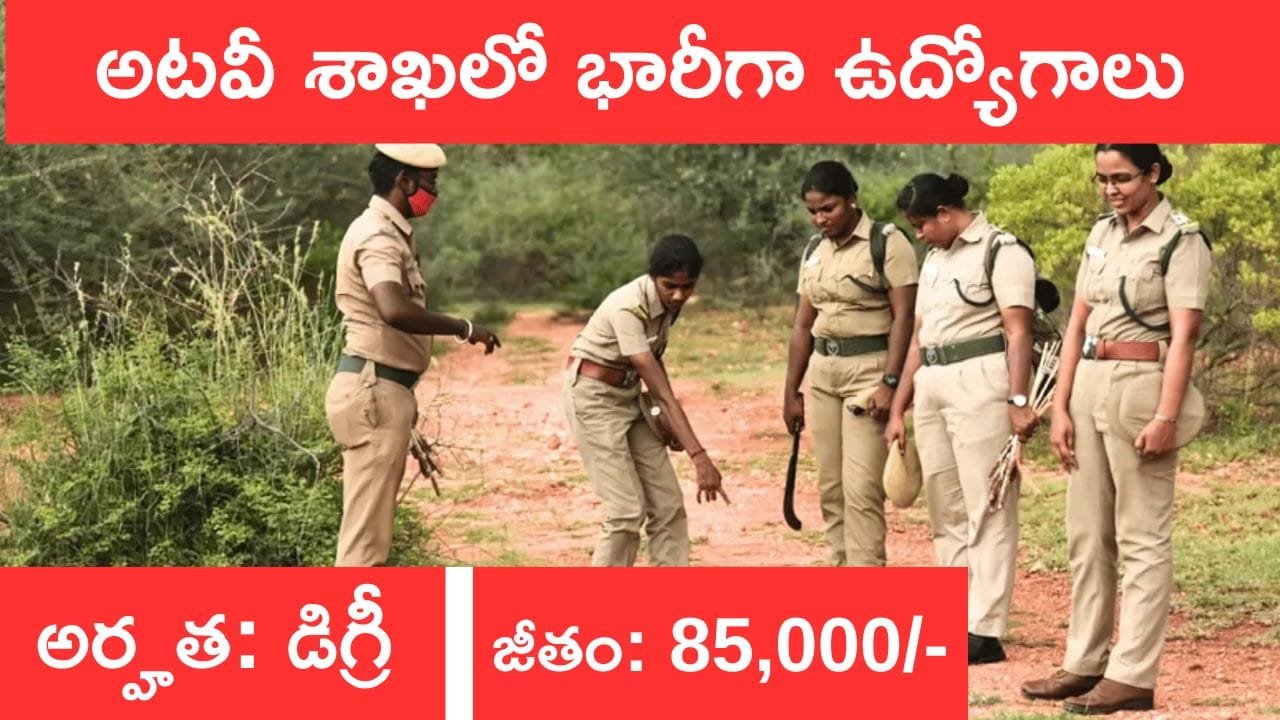 IFS Notification 2025